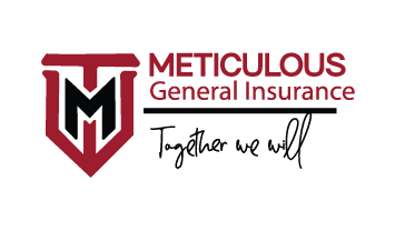 Meticulus